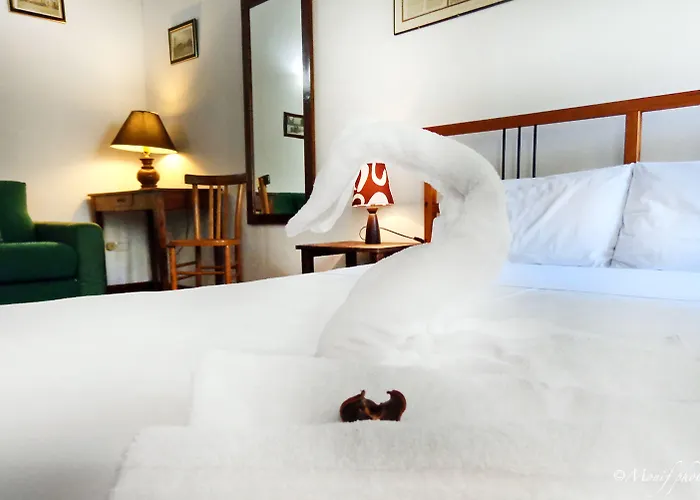 شقة فندقية Della Biscia